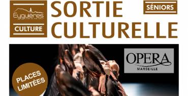 SORTIE SÉNIORS <br> Opéra de Marseille