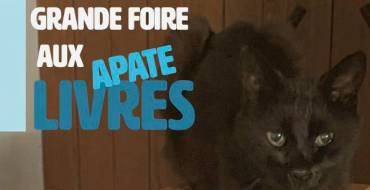 Du 11 au 12 octobre 2025 <br>  Foire aux livres – Association APATE