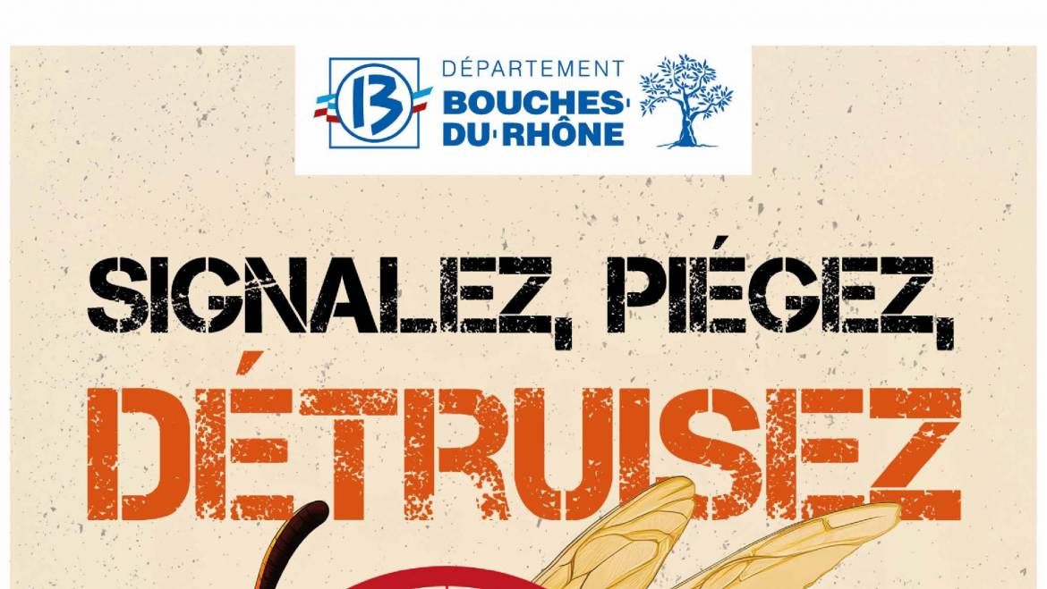 Plan de lutte contre le frelon asiatique et oriental <br> 24/07/25