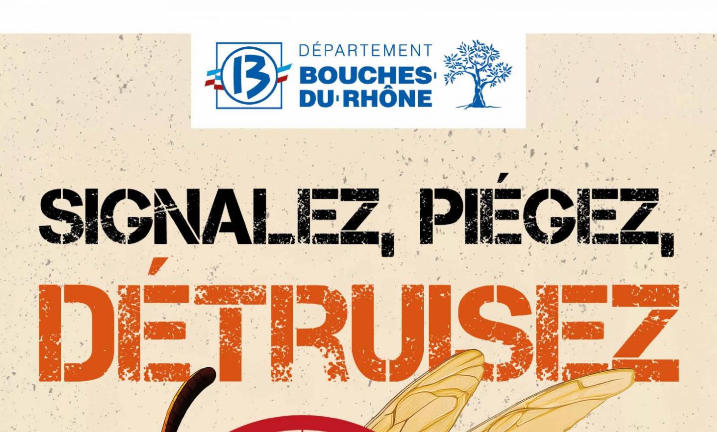 Plan de lutte contre le frelon asiatique et oriental <br> 24/07/25