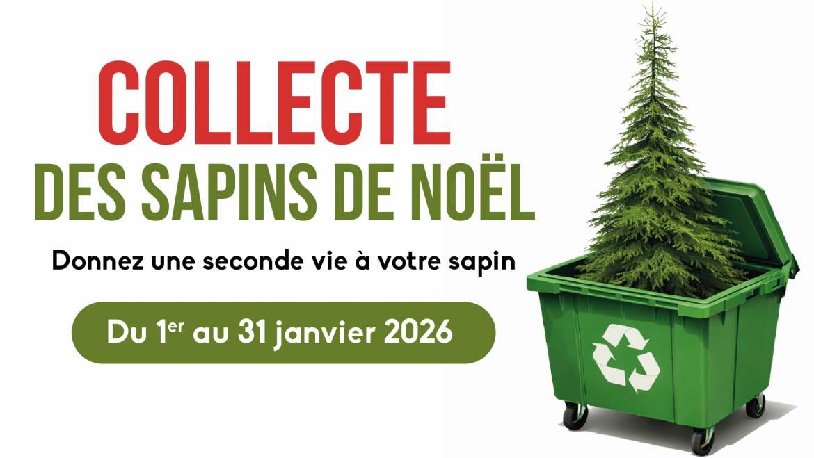 Collecte des sapins de Noël <br> du 1er au 31 janvier 2026