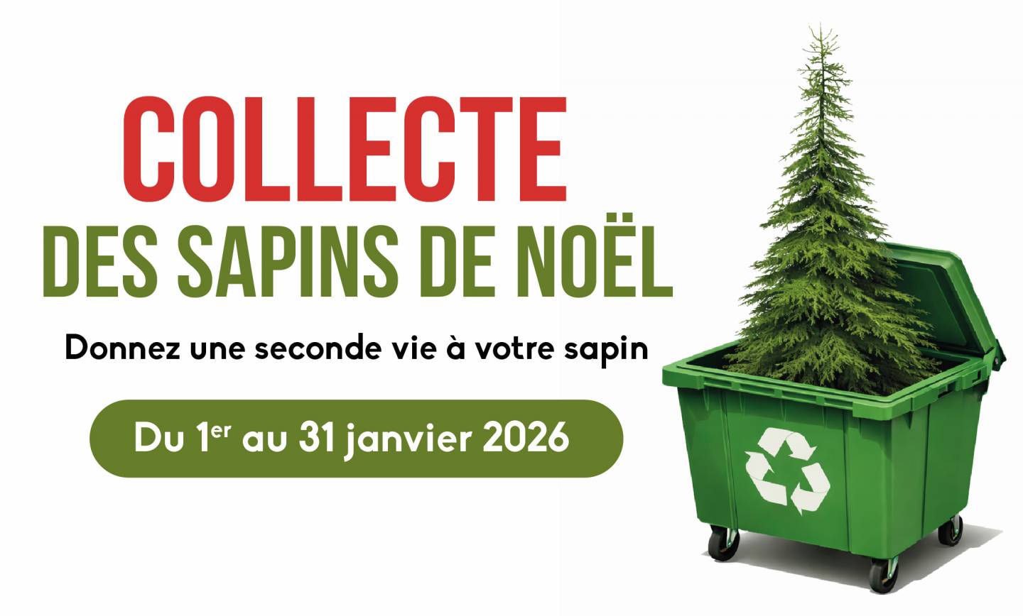 Collecte des sapins de Noël <br> du 1er au 31 janvier 2026