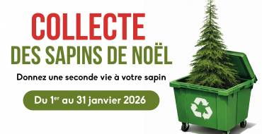 Collecte des sapins de Noël <br> du 1er au 31 janvier 2026