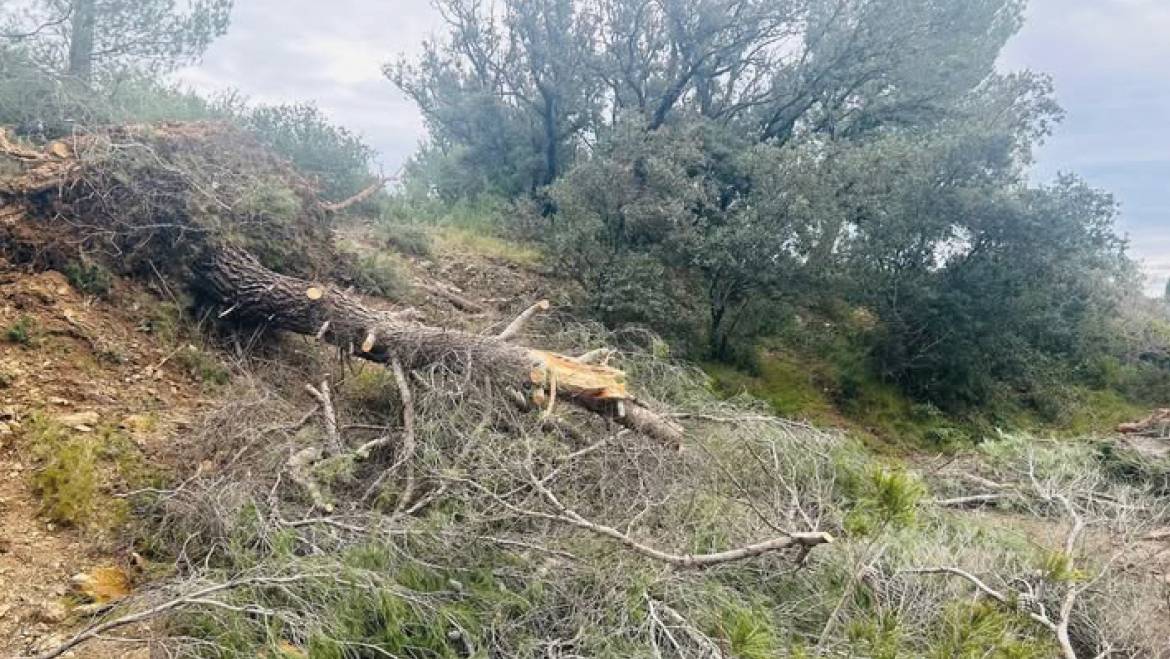 Catastrophe naturelle <br> 17/02/26