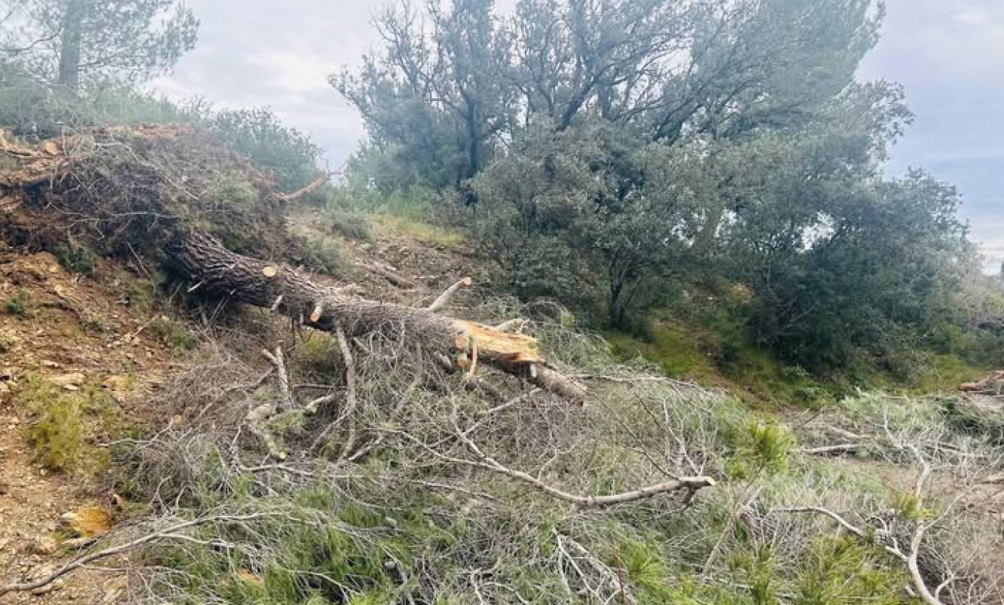 Catastrophe naturelle <br> 17/02/26